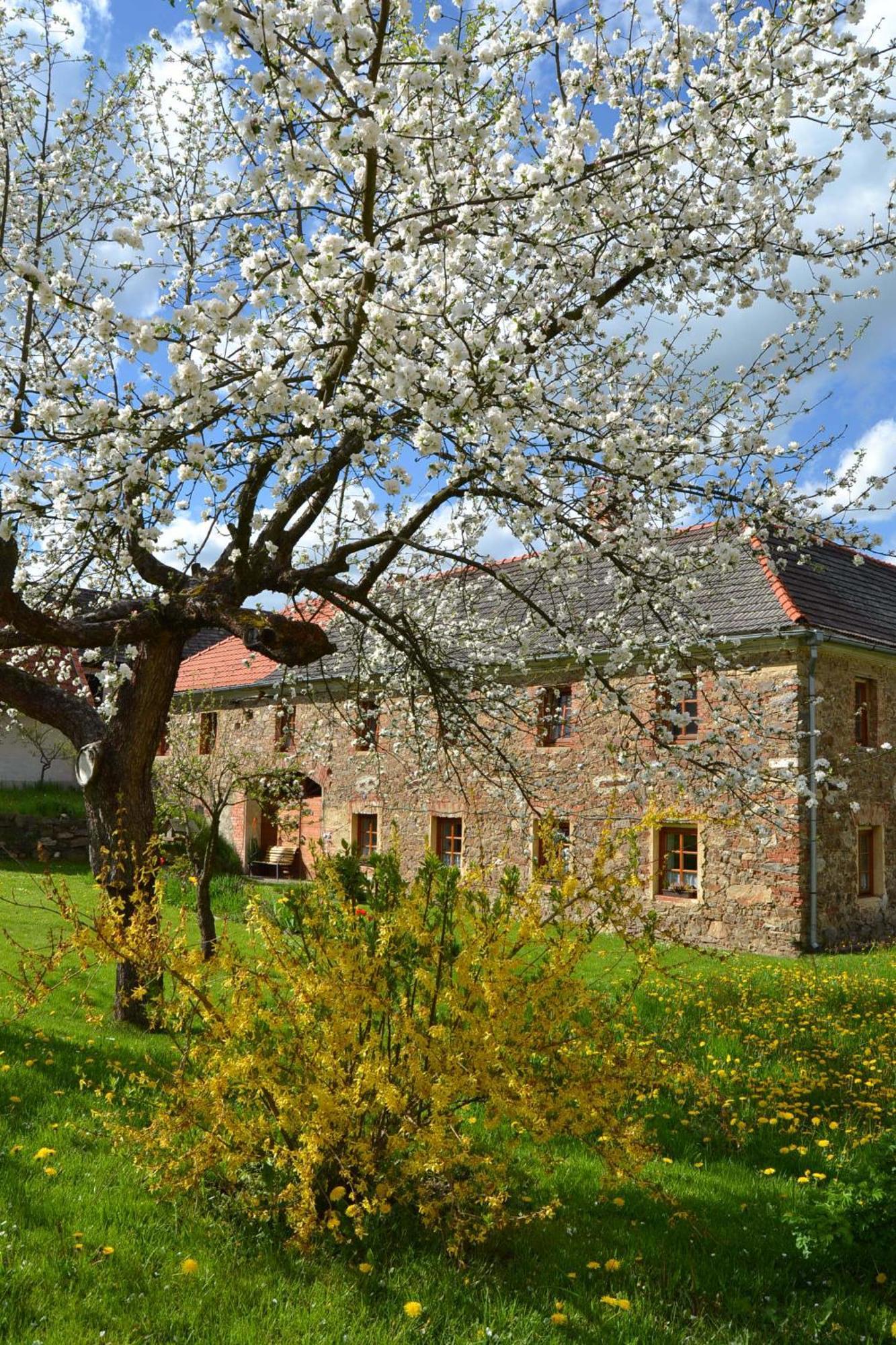 Apartmán Selsky Dvur Kájov Exteriér fotografie