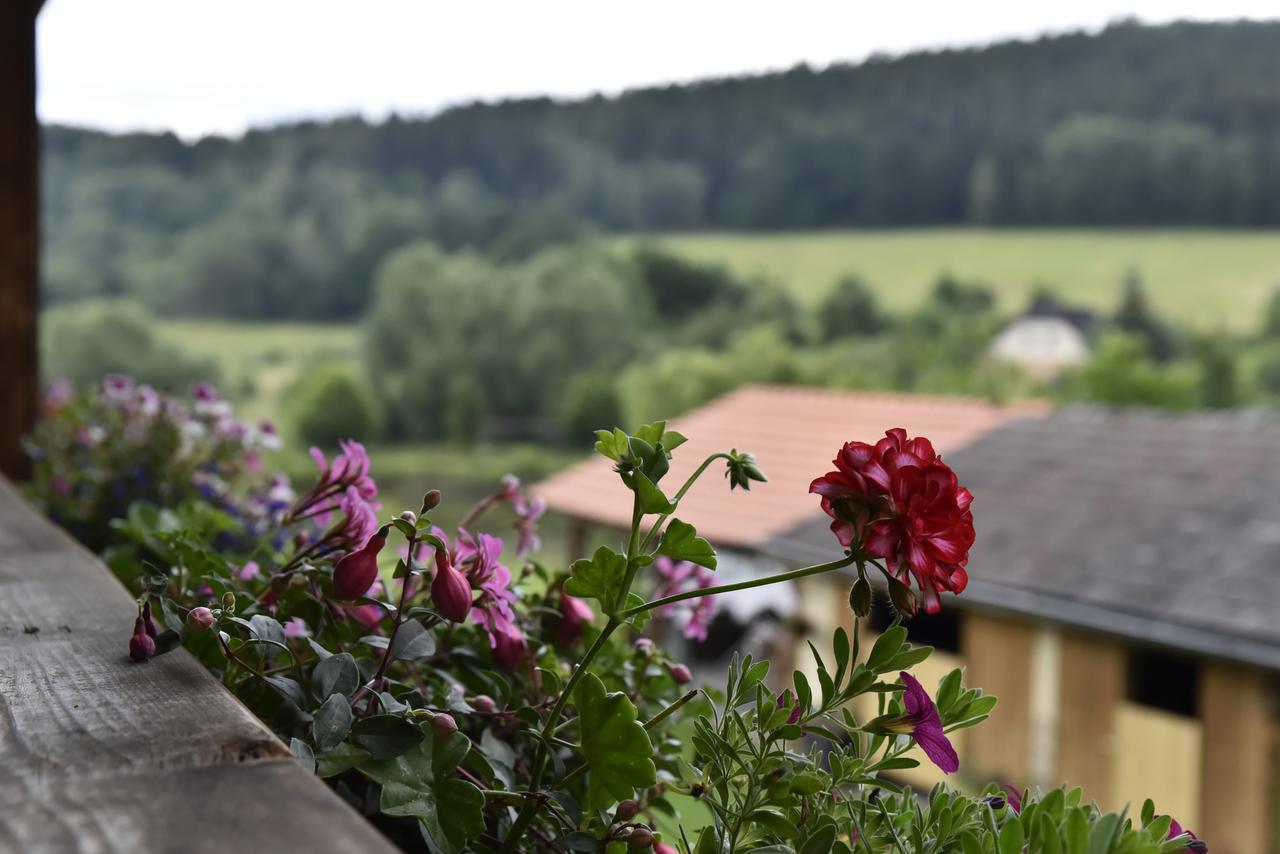 Apartmán Selsky Dvur Kájov Exteriér fotografie